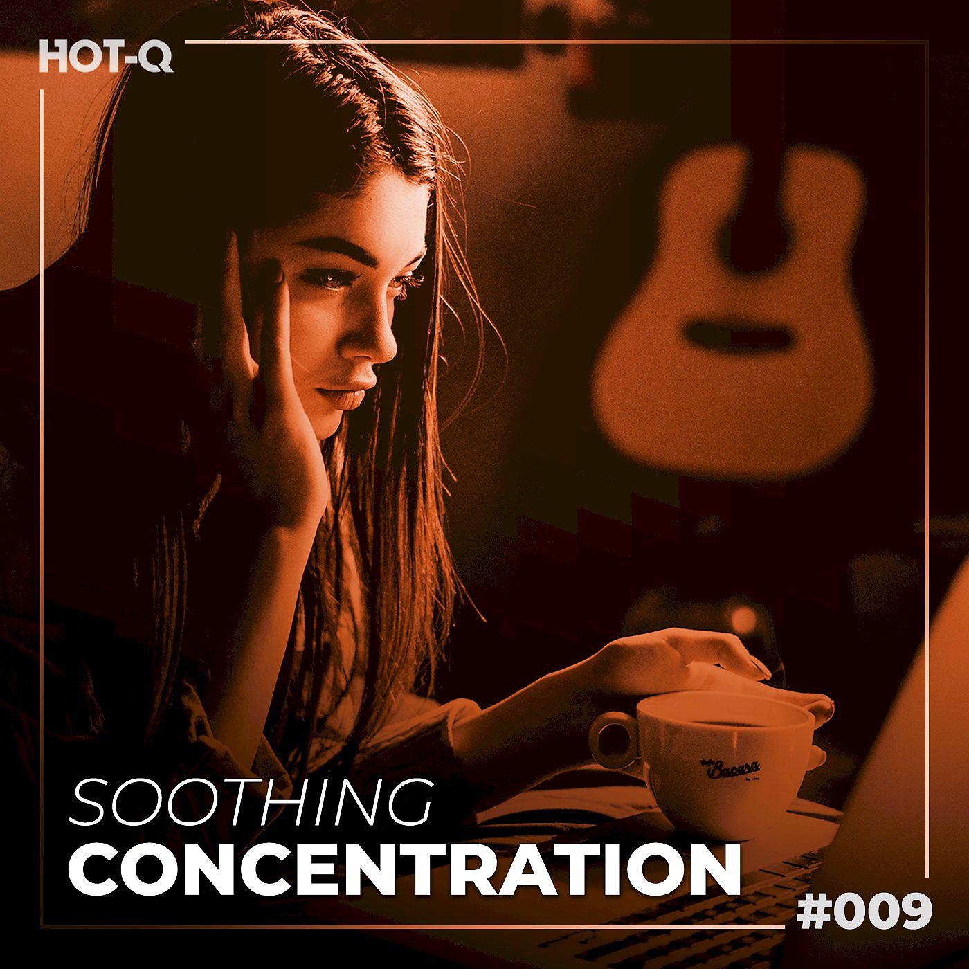 Постер альбома Soothing Concentration 009