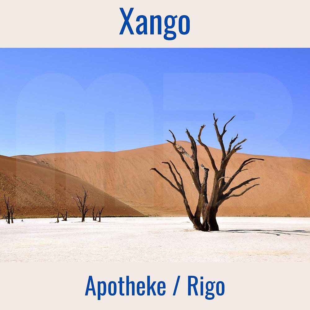 Постер альбома Rigo / Apotheke