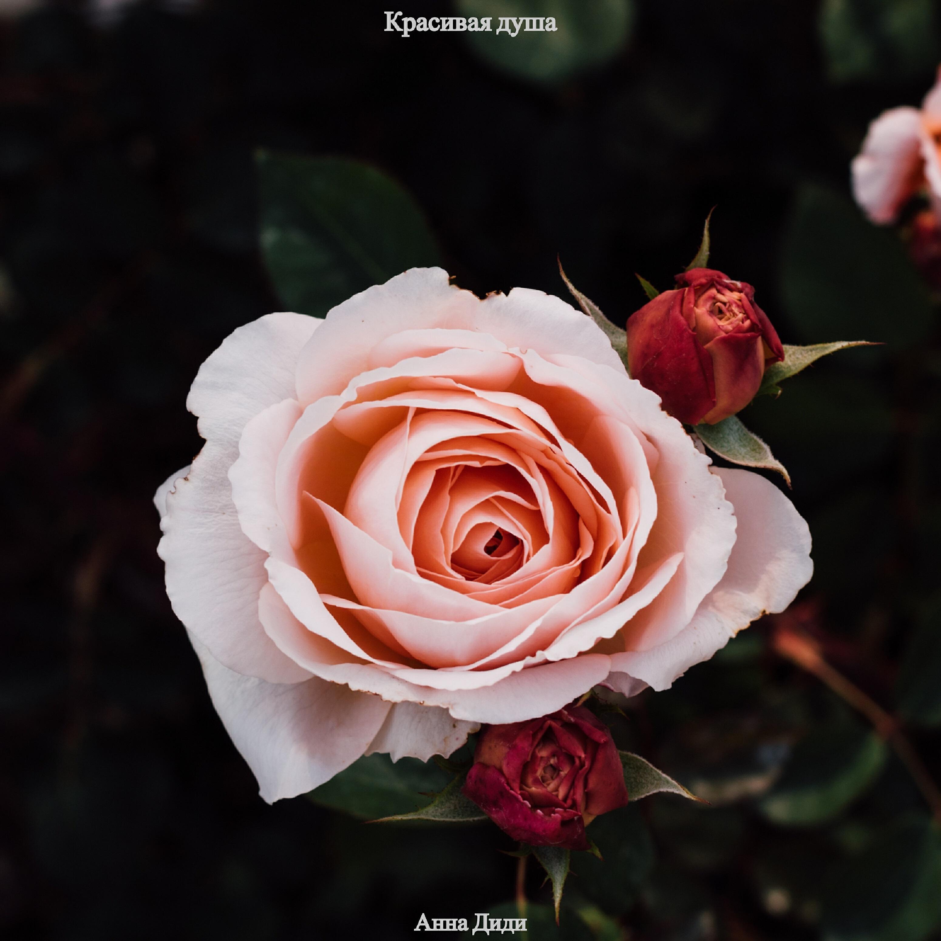 Анна Диди все песни в mp3