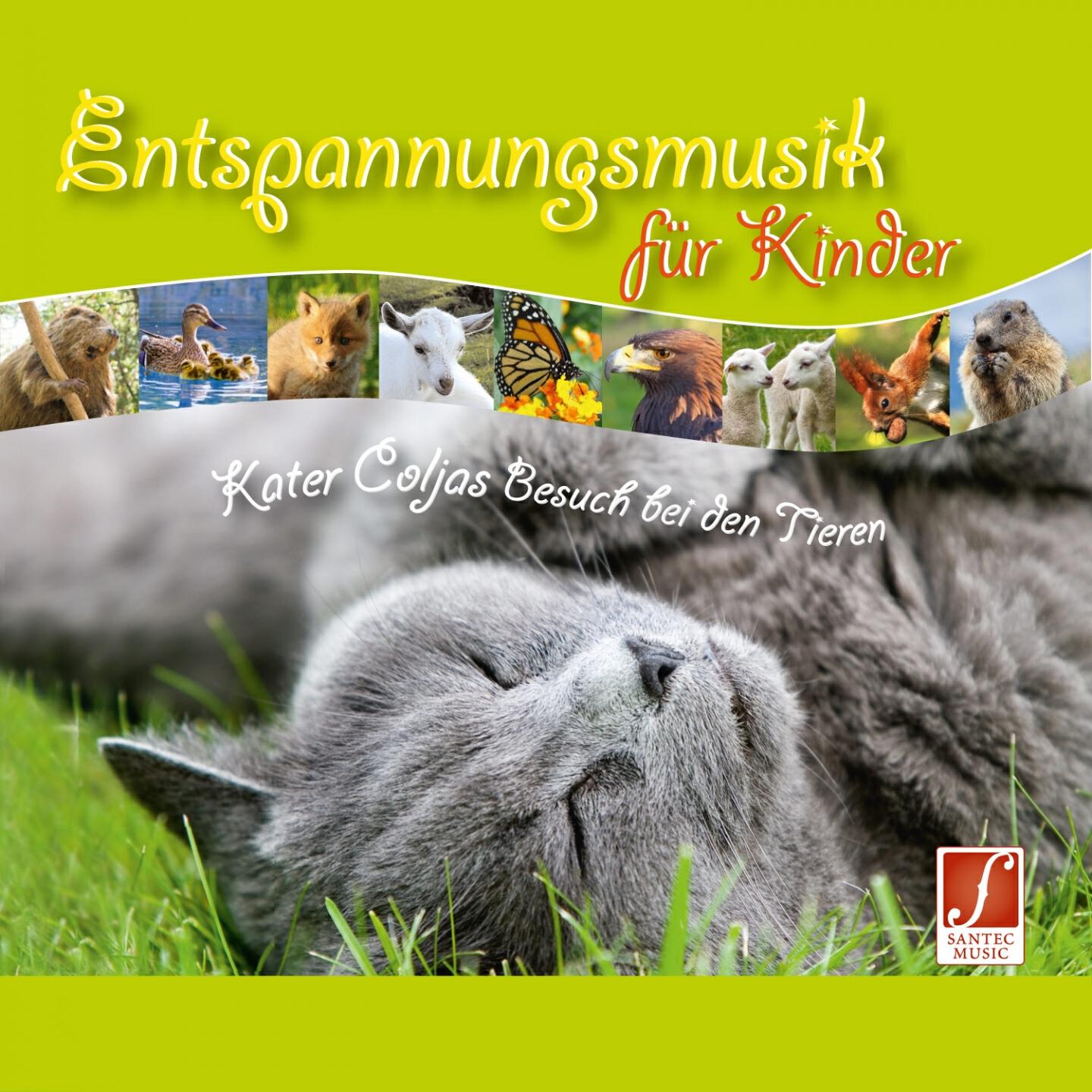 Santec Music Orchestra - Tanz der Libellen am Bergsee (Mit Geschichten Erzähler)