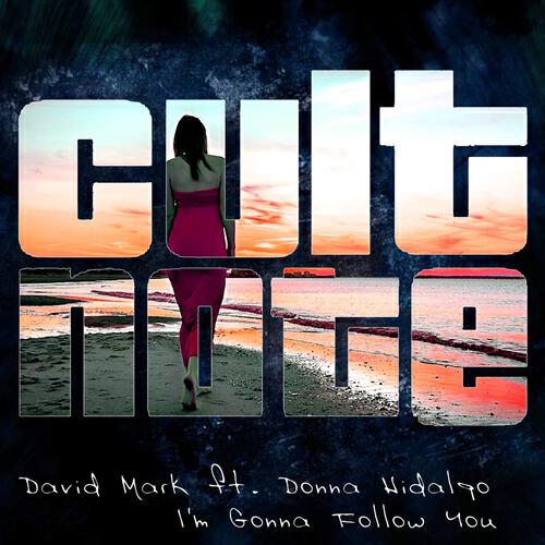 David Mark - I'm Gonna Follow You (Walterino & House Device Remix)