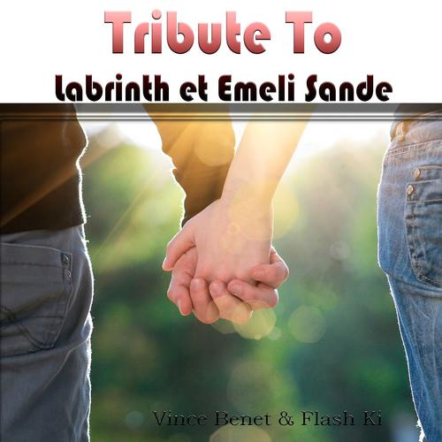 Постер альбома Tribute to Labrinth & Emeli Sande: Beneath Your Beautiful