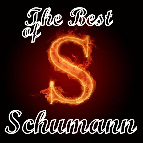 Постер альбома The best of schumann