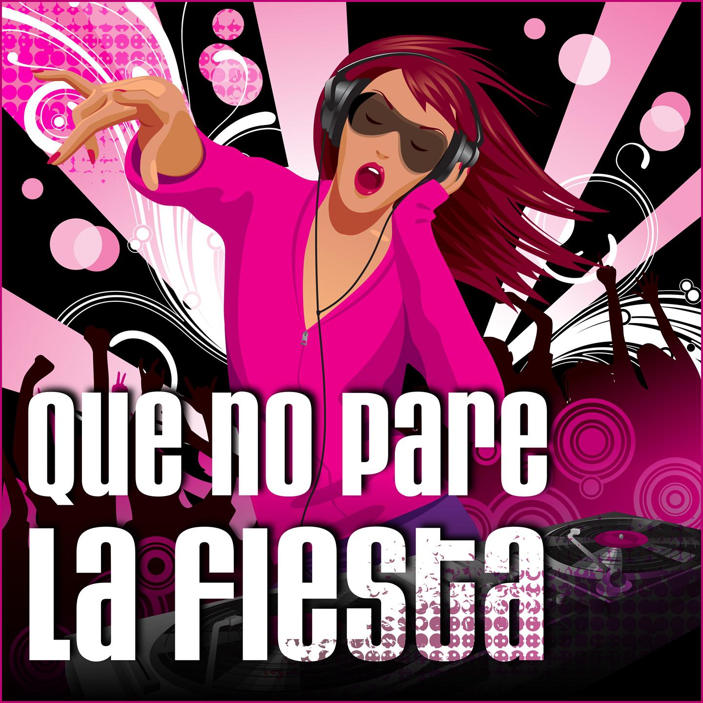 Постер альбома Que No Pare La Fiesta!
