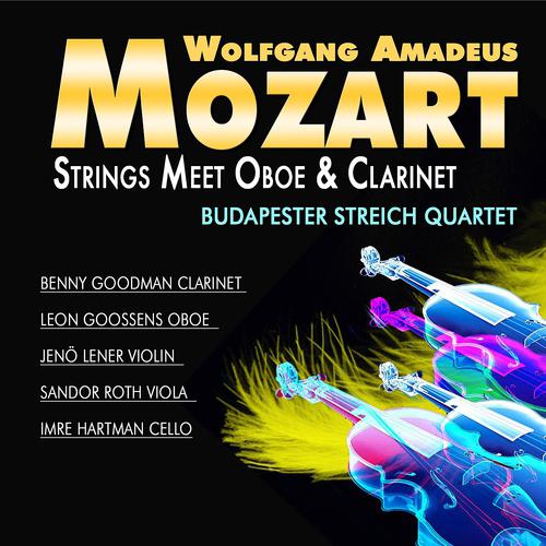 Постер альбома Mozart: Strings Meets Oboe & Clarinet