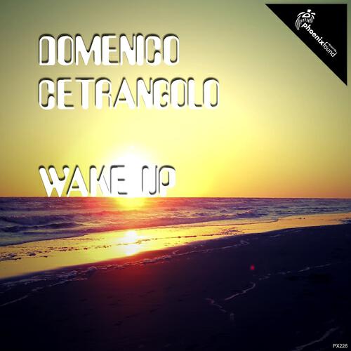 Domenico Cetrangolo - Wake Up (Robert Tamascelli Remix)