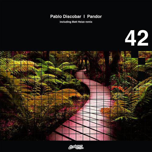 Pablo Discobar - Sunday Morning (Matt Heize Remix)