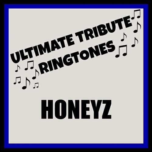 DJ MixMasters - Never Let You Down (Tribute in the Style of Honeyz)