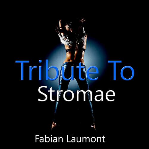 Drake Janeck - Formidable (Karaoke Version) (Originally Performed by Stromae)