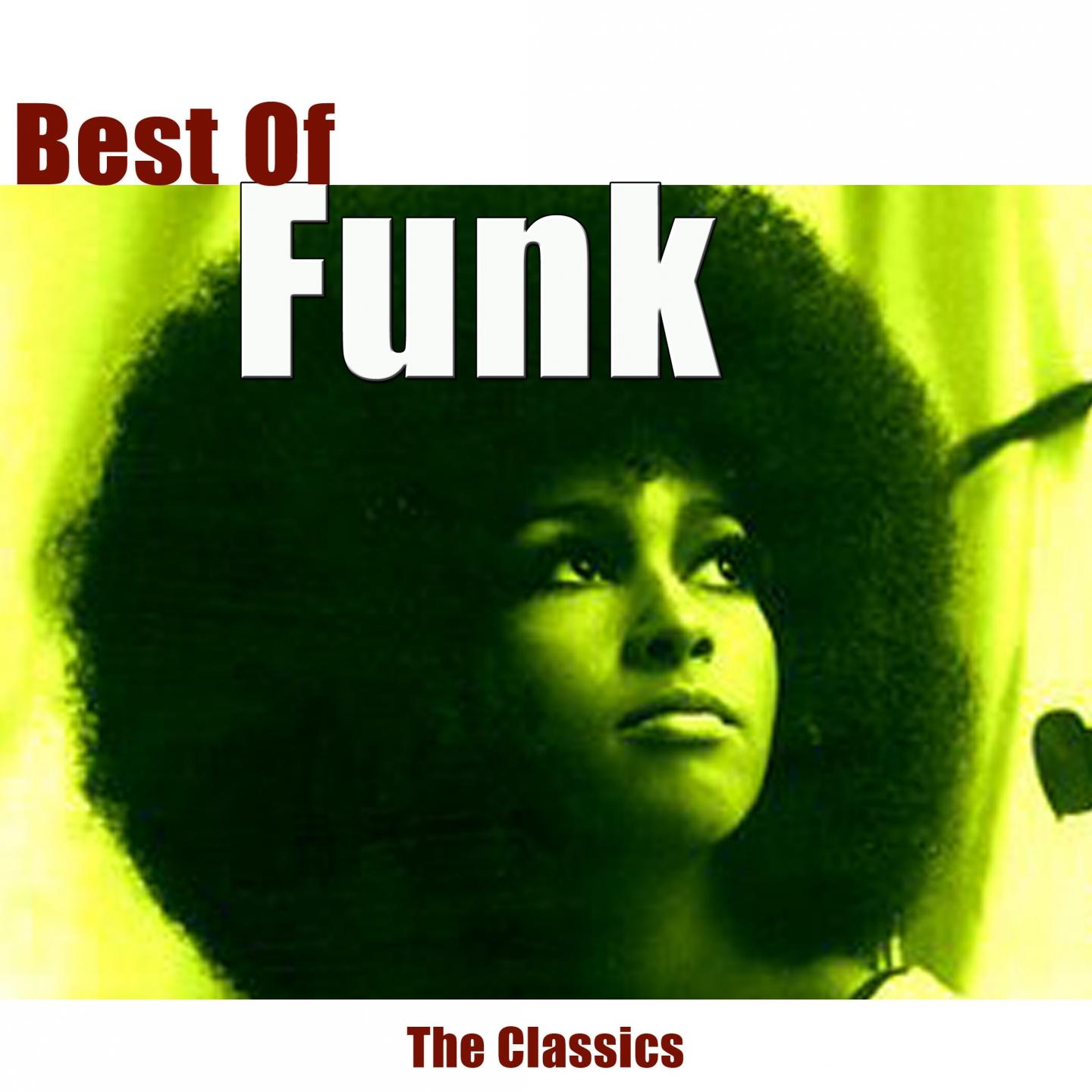 Постер альбома Best of Funk (The Classics)