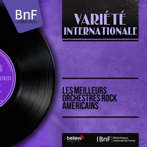Постер альбома Les meilleurs orchestres rock américains (Mono version)