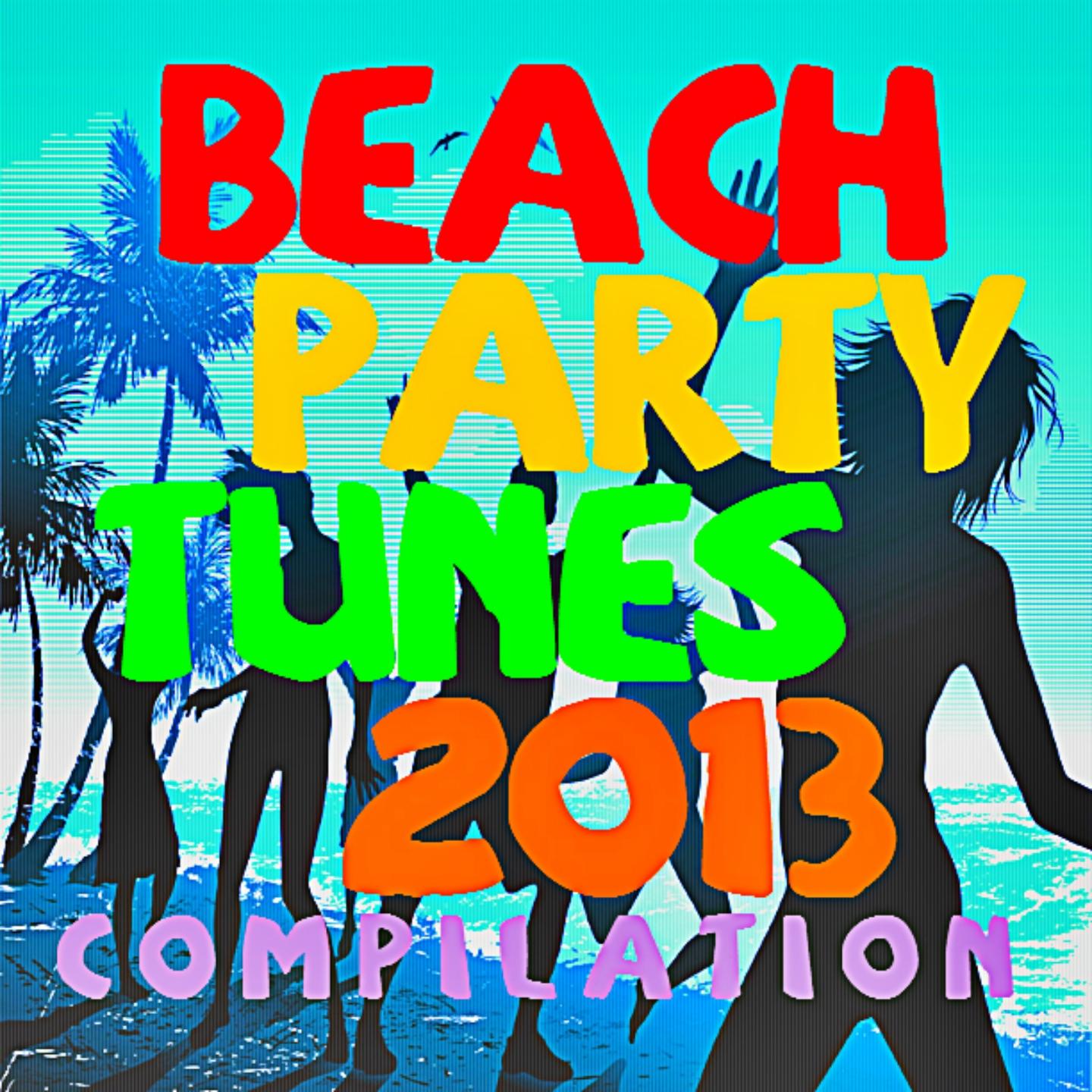 Постер альбома Beach Party Tunes 2013