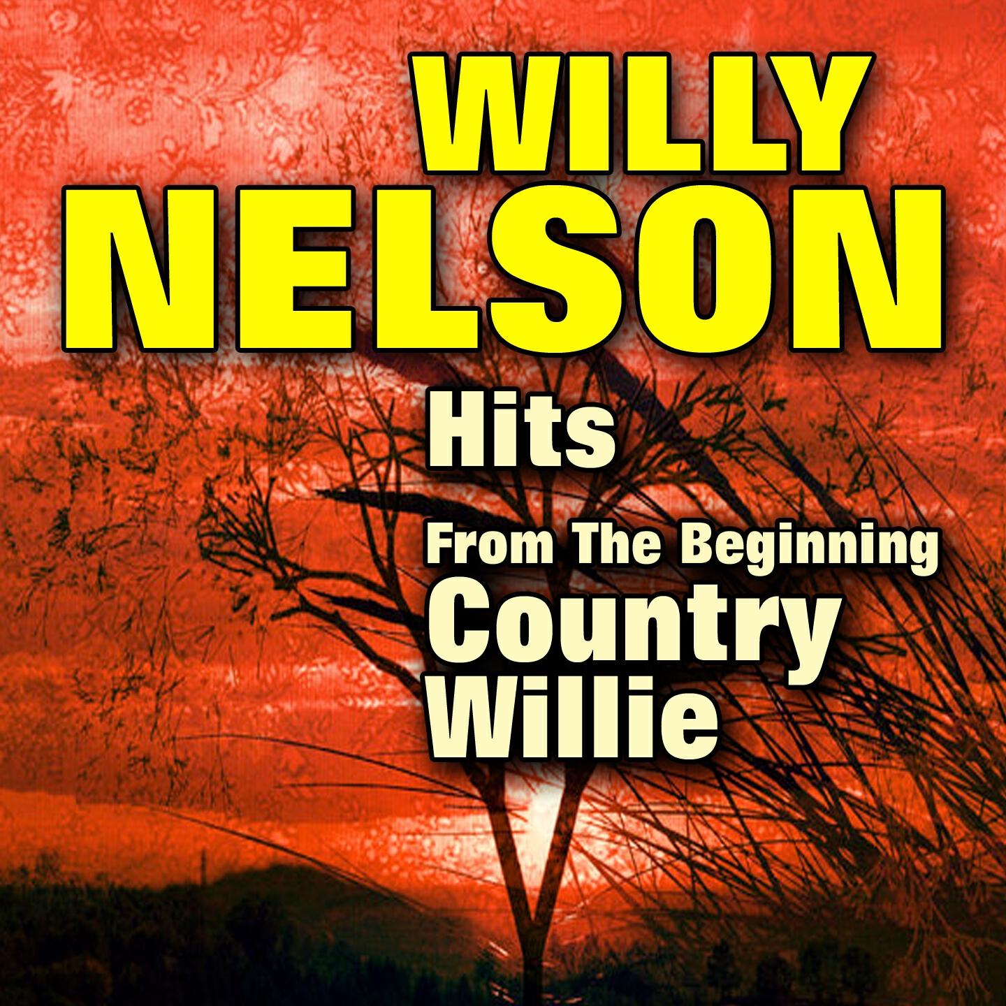 Willy Nelson - The Part Where I Cry