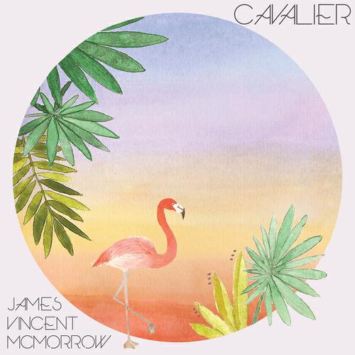 James Vincent McMorrow - Cavalier