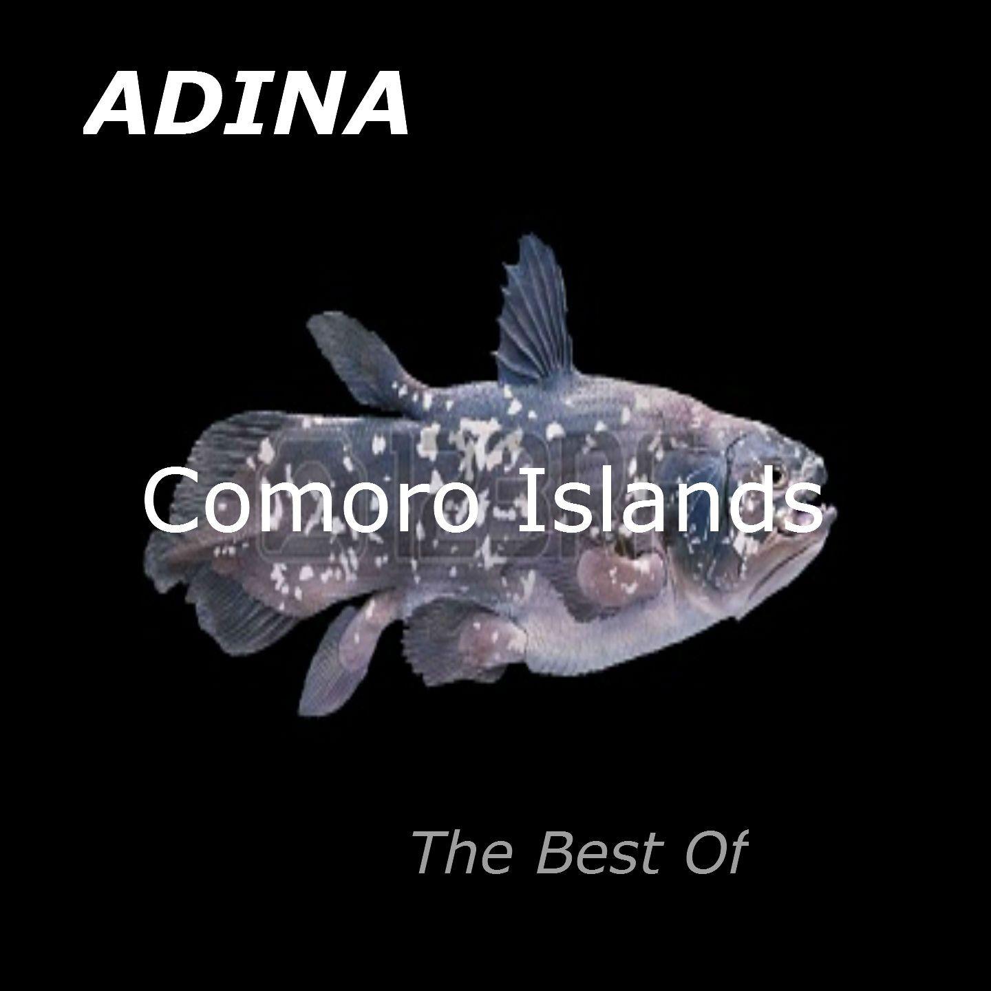 Постер альбома Comoro islands