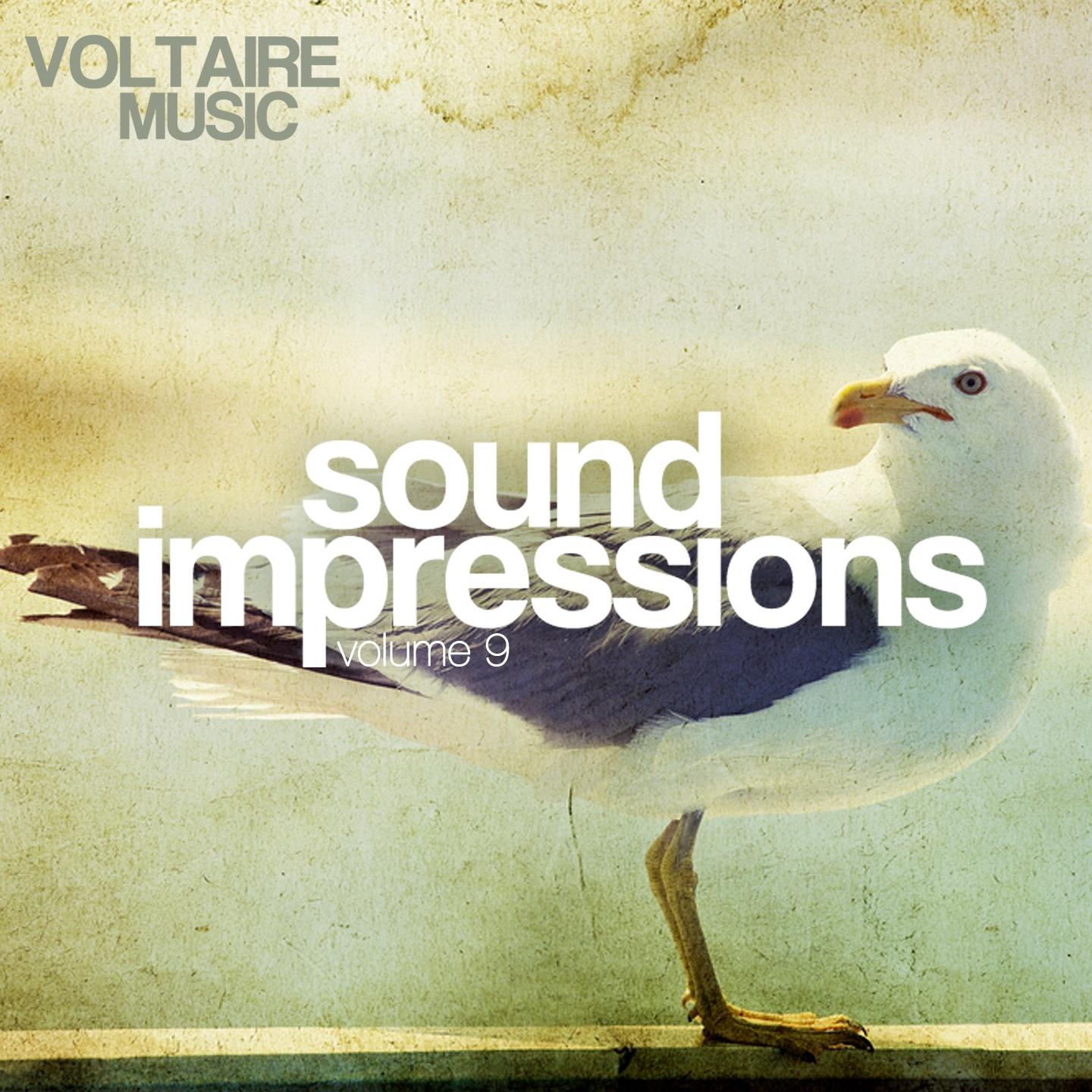 Постер альбома Sound Impressions, Vol. 9