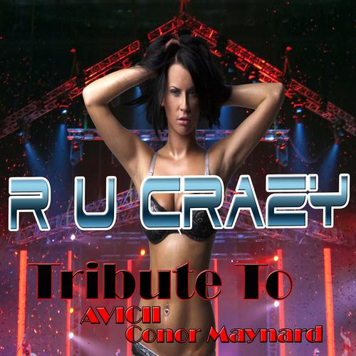 Постер альбома R U Crazy: Tribute to Avicii, Conor Maynard