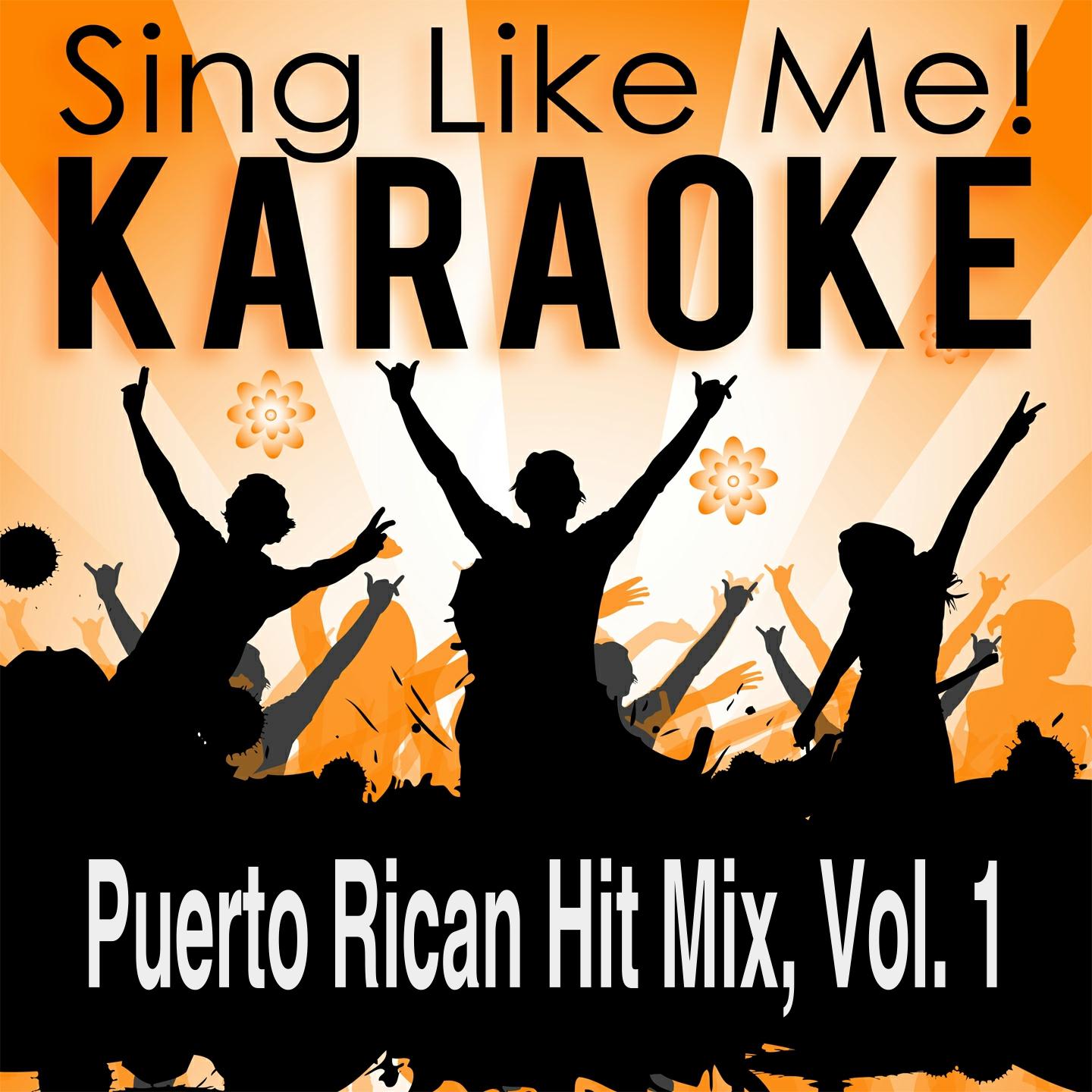 Постер альбома Puerto Rican Hit Mix, Vol. 1 (Karaoke Version)