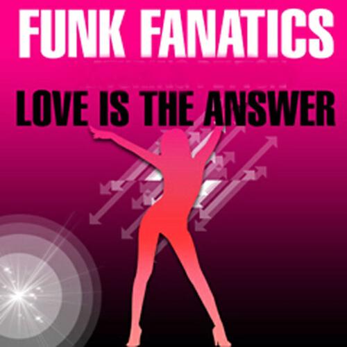 Funk Fanatics - Love Is the Answer (Nick Hook Dub)