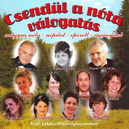 László Tibor Csáki - Mulatok, Mert...