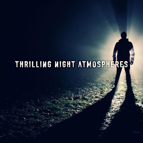 Постер альбома Thrilling Night Atmospheres