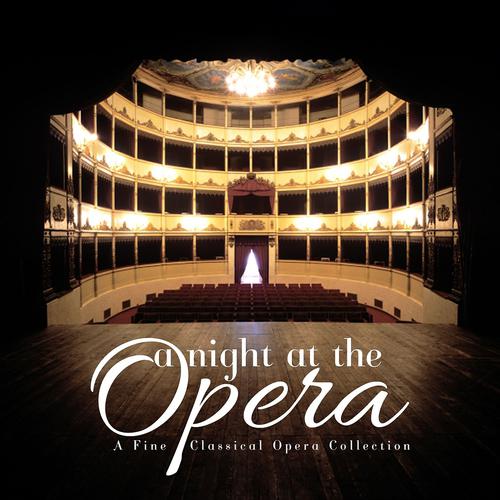 Постер альбома A Night at the Opera: A Fine Classical Opera Collection
