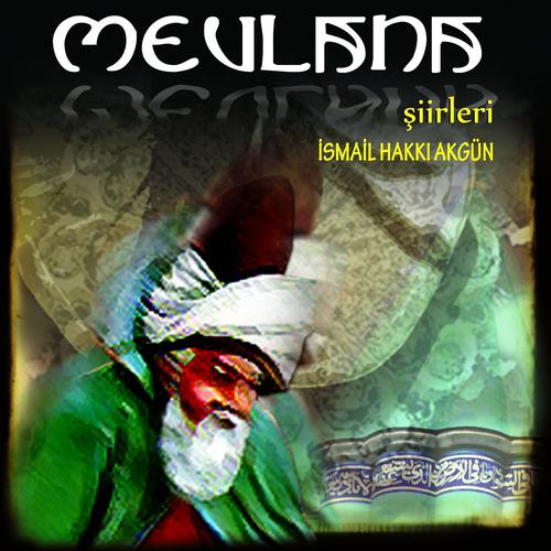 Постер альбома Mevlana Şiirleri