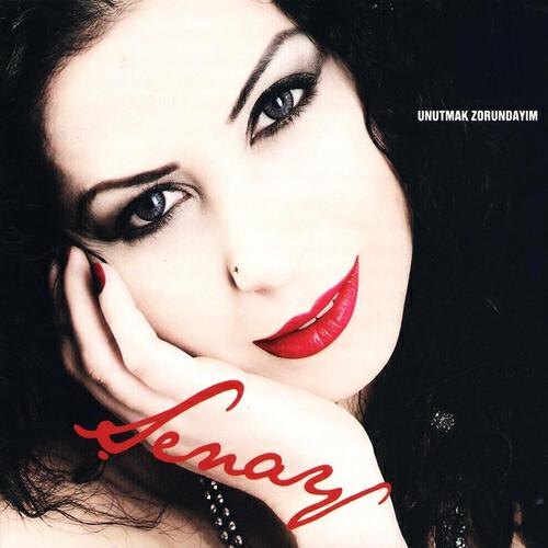 Senay - Unutmak Zorundayım