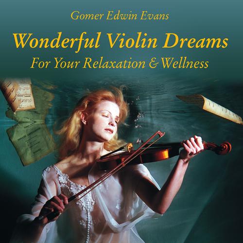 Постер альбома Wonderful Violin Dreams for Relaxation