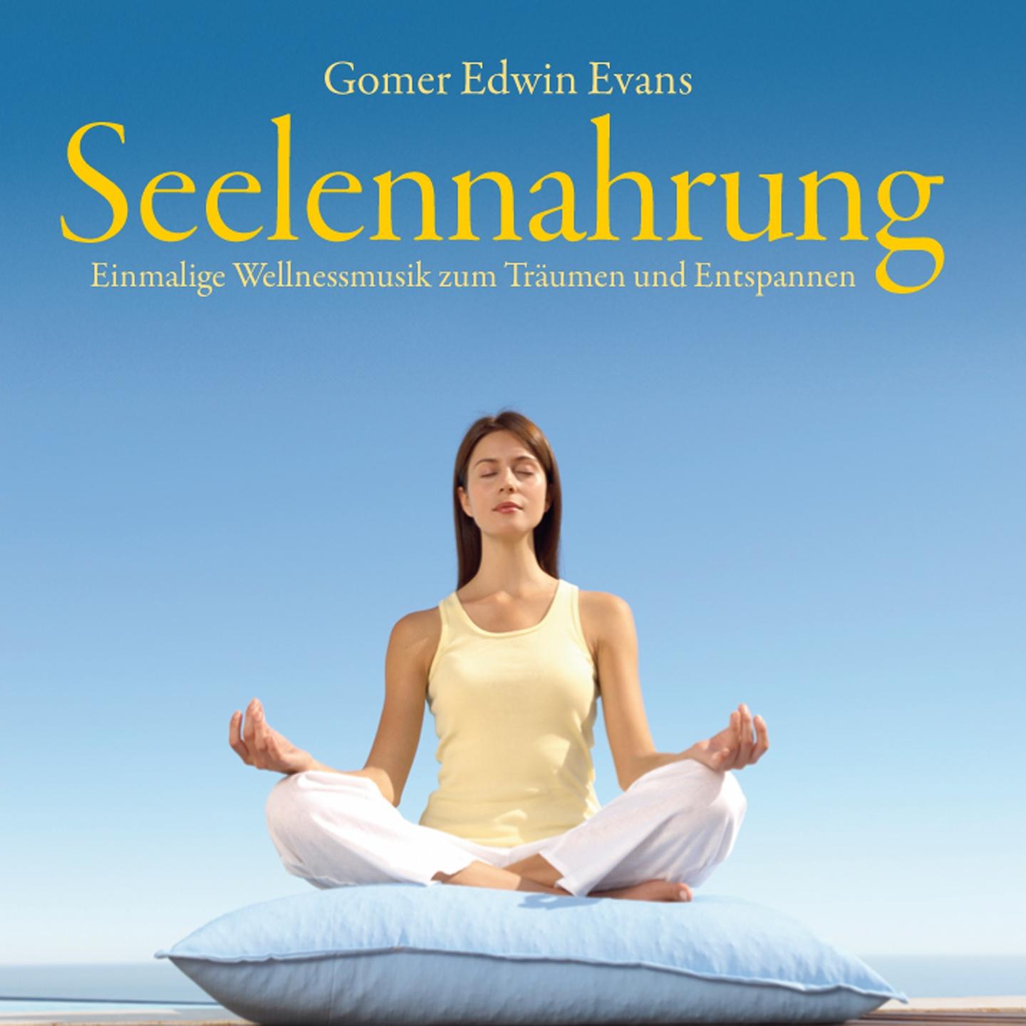 Постер альбома Seelennahrung : Wohlfühlmusik zur Entspannung
