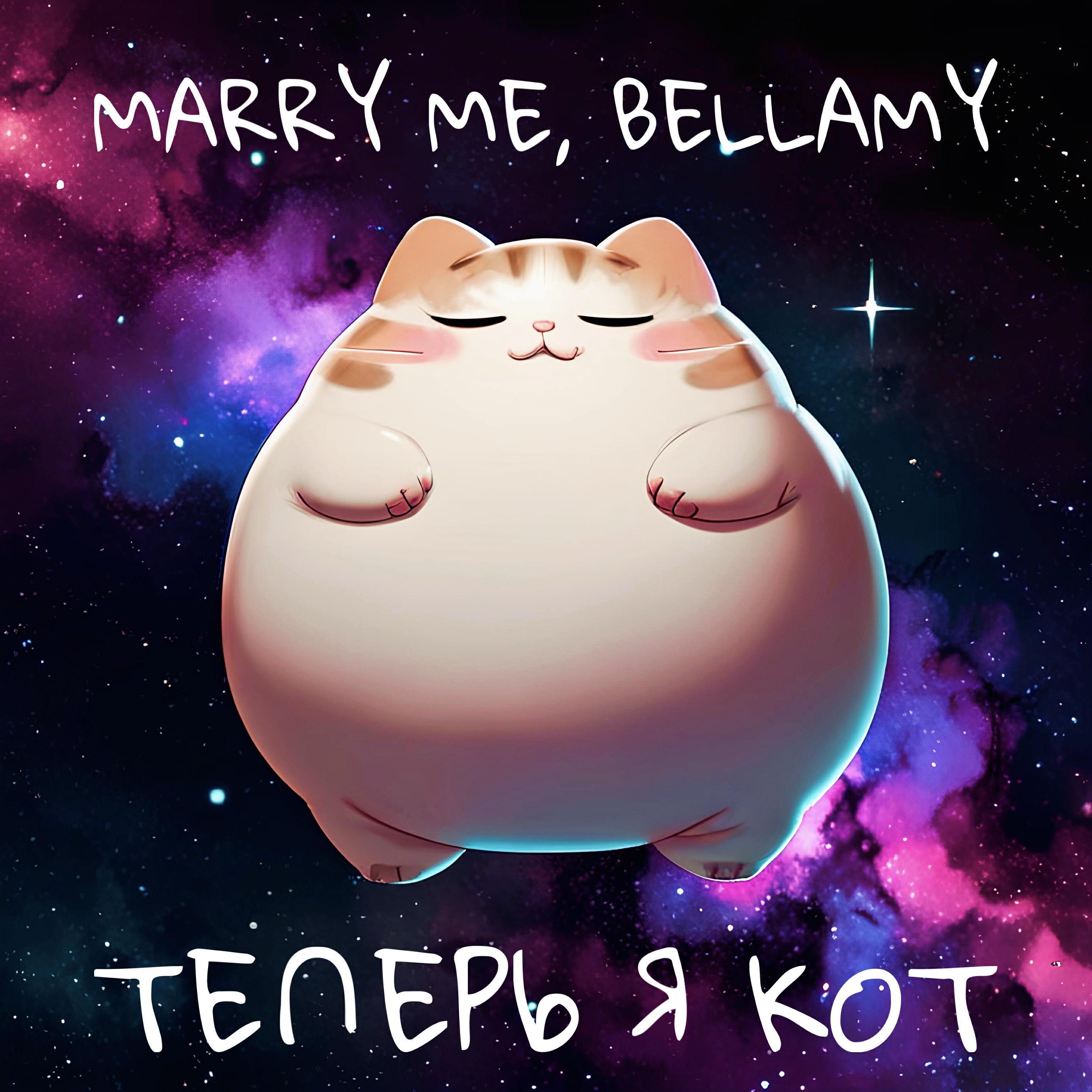 Marry Me, Bellamy все песни в mp3
