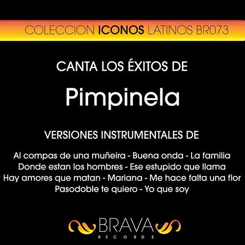 Brava HitMakers - Hay Amores Que Matan (Instrumental Version) (Originally Performed By Pimpinela)