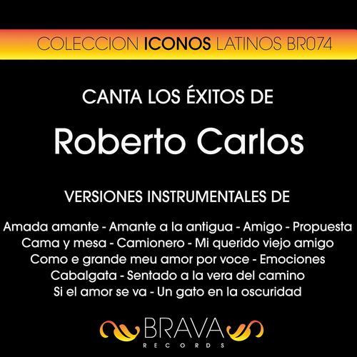 Постер альбома Canta los Exitos de Roberto Carlos