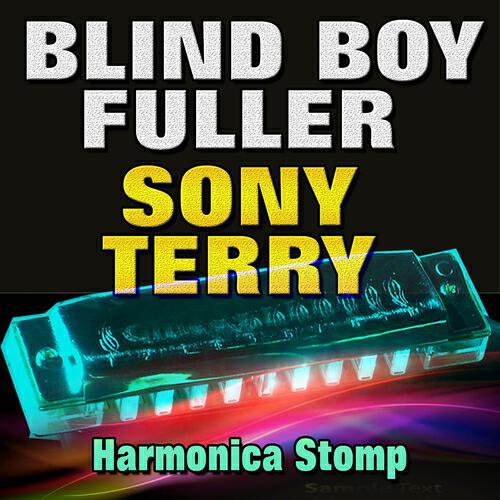 Sony Terry - I Don't Want No Skinny Woman