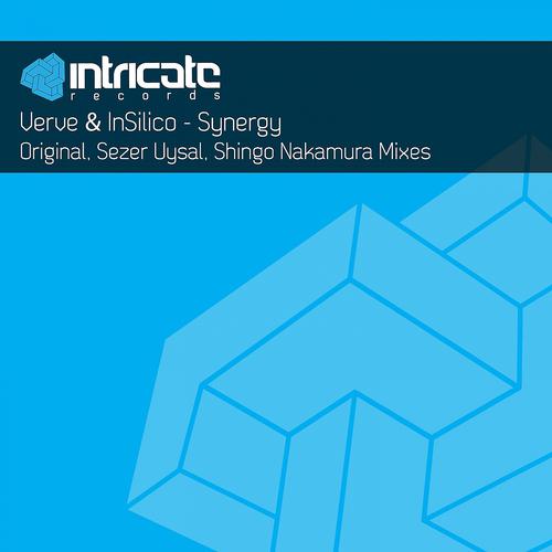 Verve - Synergy (Shingo Nakamura Remix)