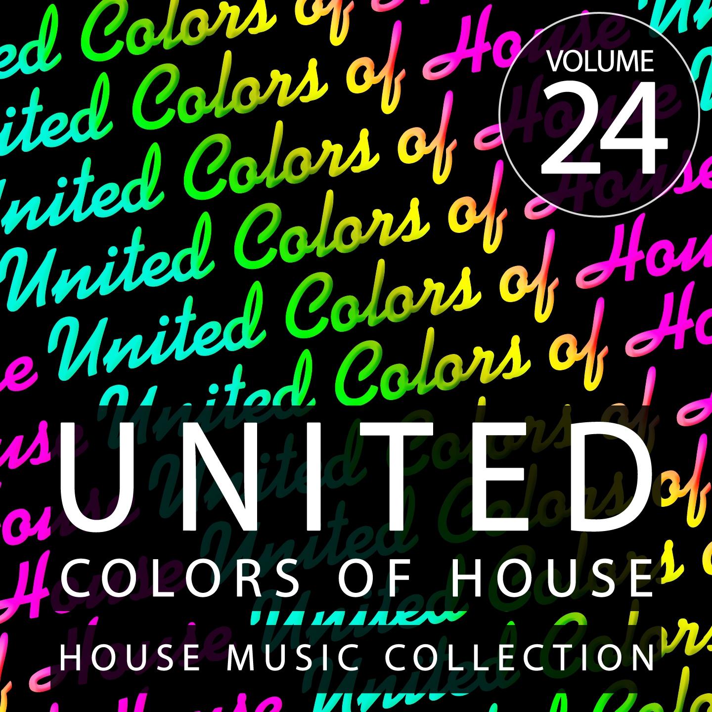 Постер альбома United Colors of House, Vol. 24