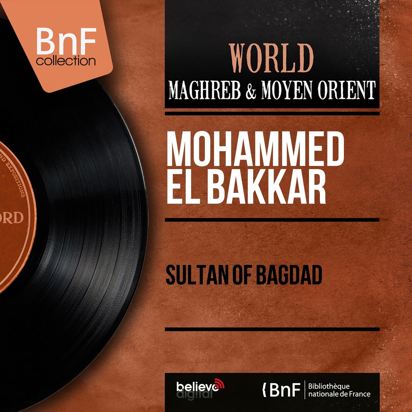 Постер альбома Sultan of Bagdad (Mono Version)
