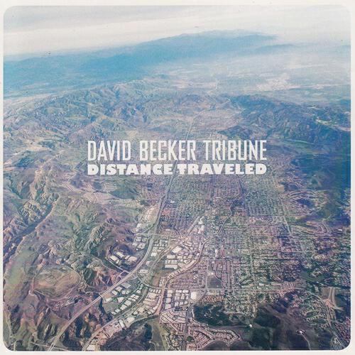 David Becker Tribune - Tim's Lament