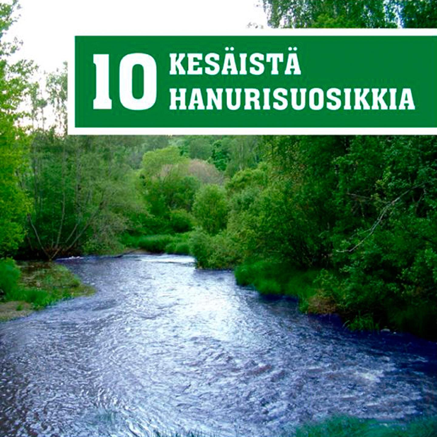 Lopen Harmonikat - Hilpeä hanuri