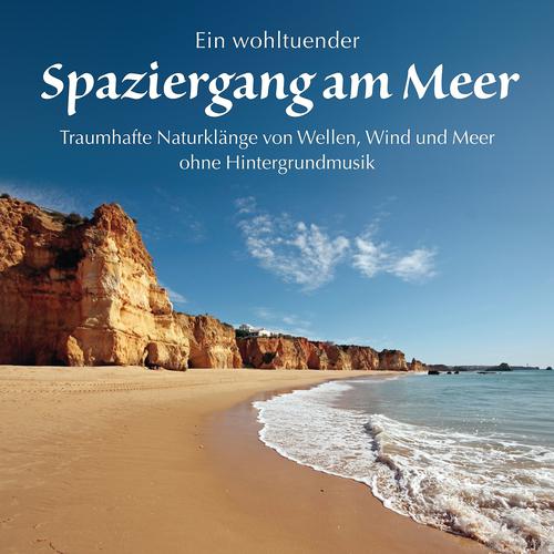 Постер альбома Spaziergang am Meer: Wellen, Wind und Meer