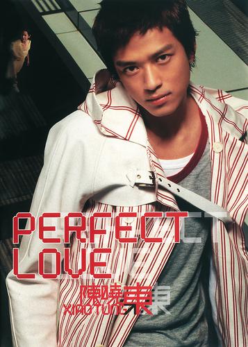 Постер альбома Perfect Love