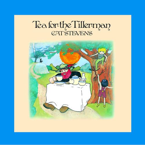 Постер альбома Tea For The Tillerman