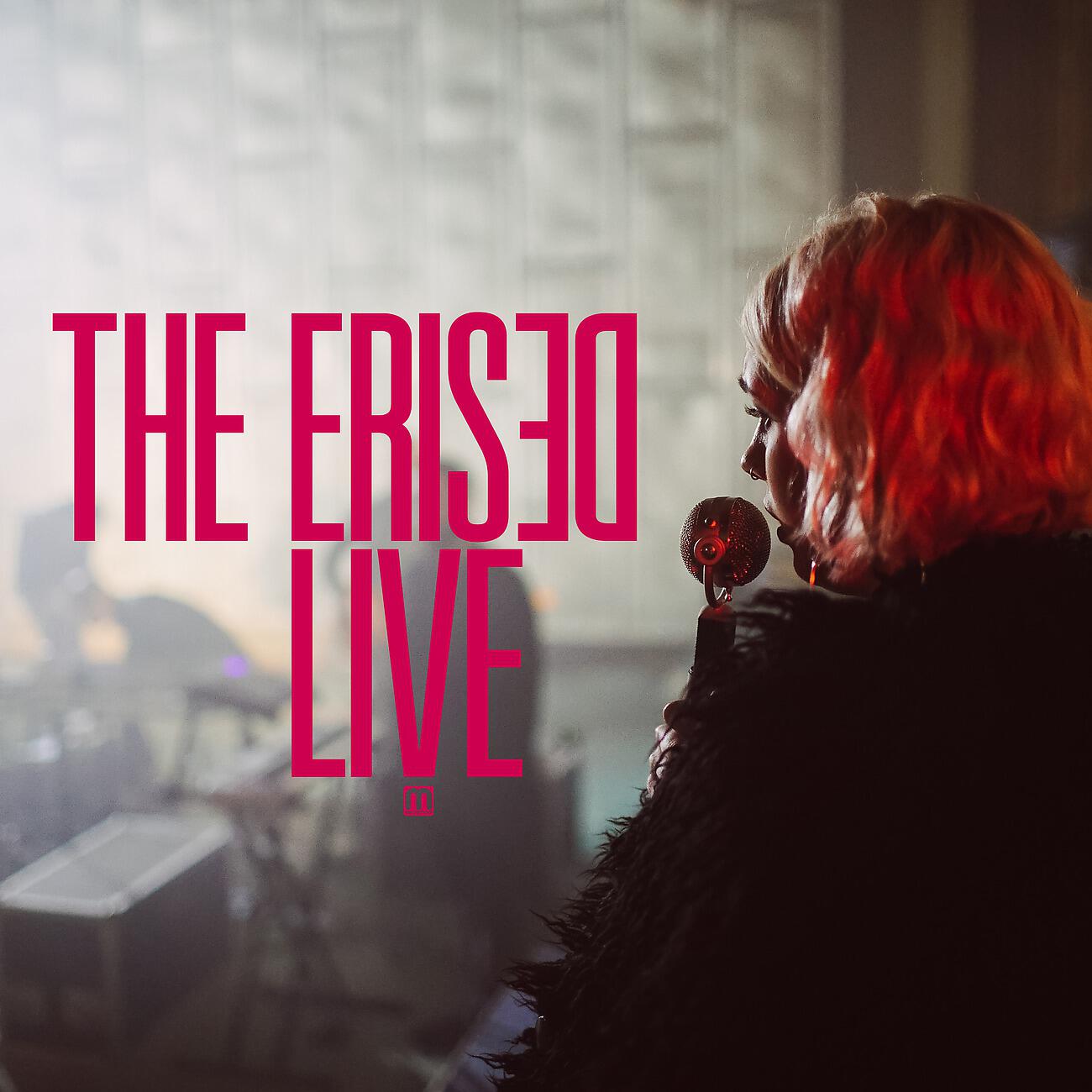 The Erised - Liar (Live)