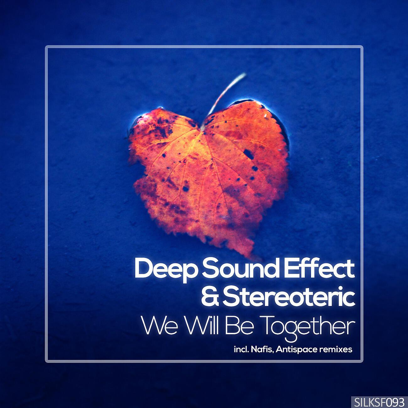 Deep Sound Effect - We Will Be Together (Nafis Remix)