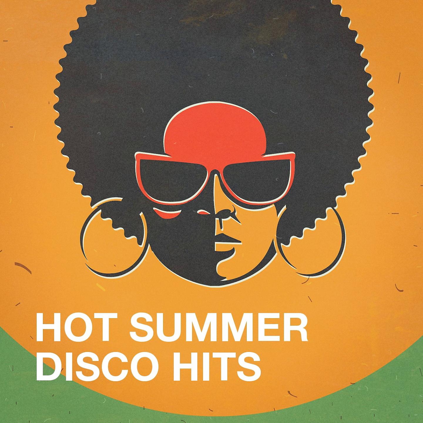 Постер альбома Hot Summer Disco Hits