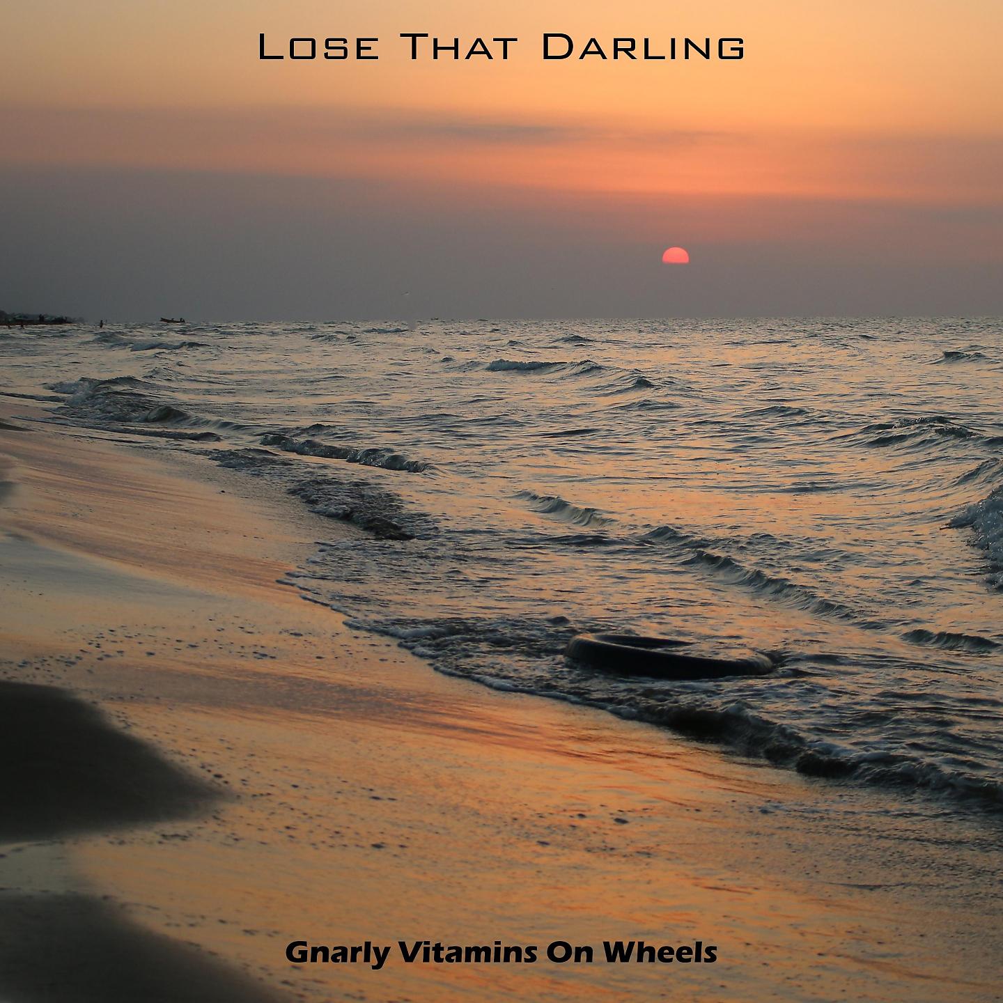 Постер альбома Lose That Darling