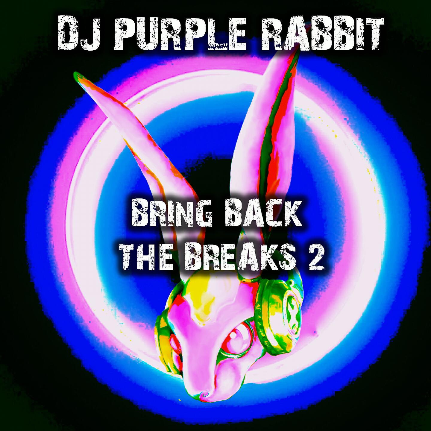 Doozer - On the Rise (DJ Purple Rabbit Glitch Hop Mix)