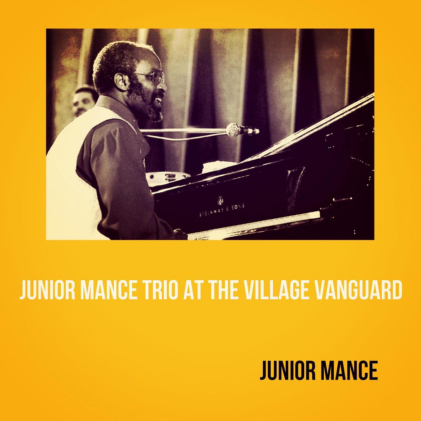 Постер альбома Junior Mance Trio at the Village Vanguard