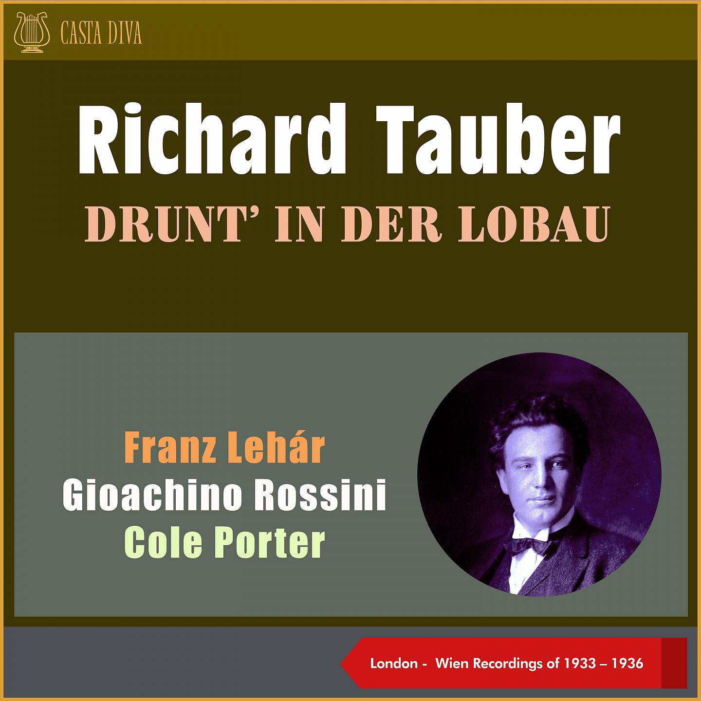 Постер альбома Drunt' in Der Lobau