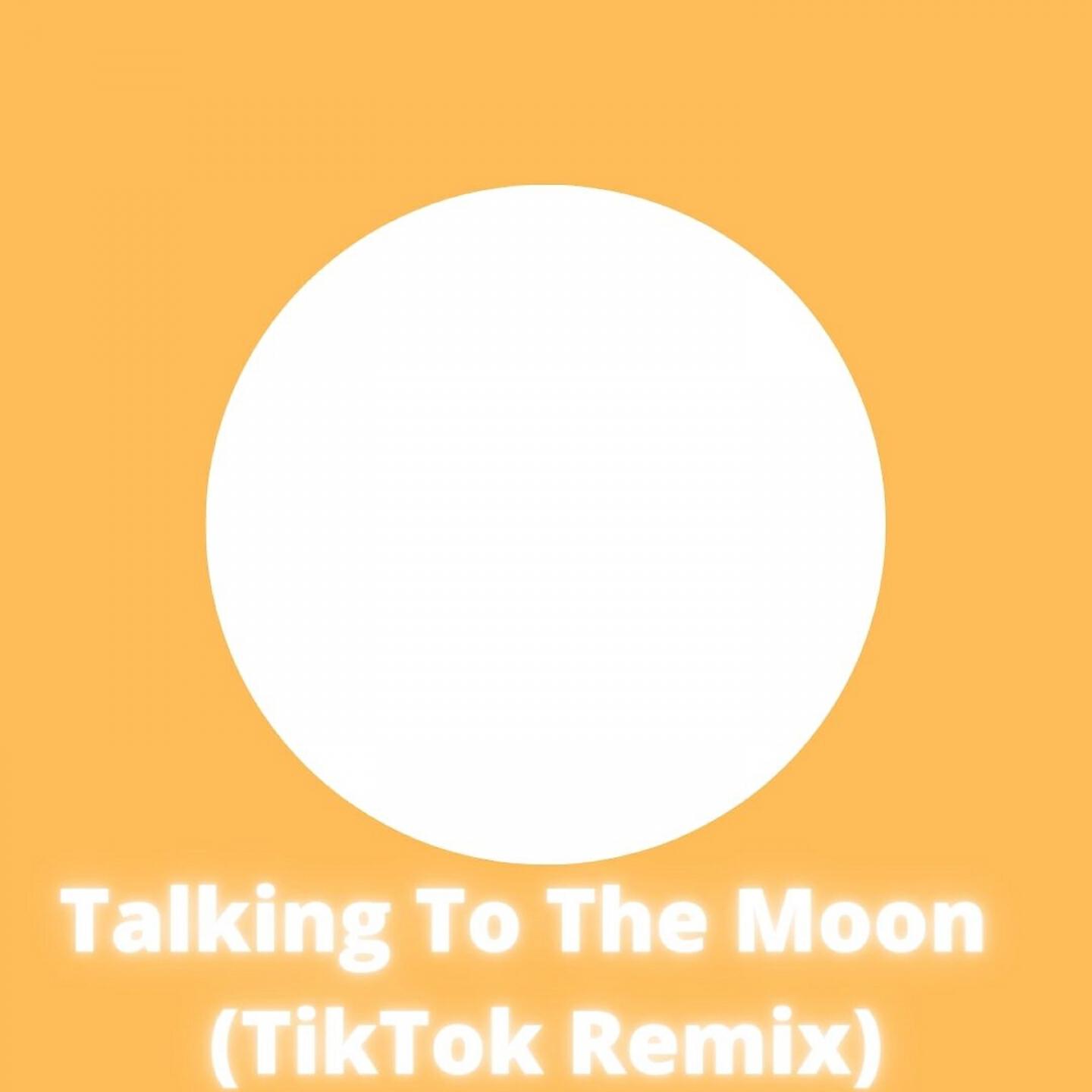 Dj Tik Tok Mix - Talking To The Moon (TikTok Remix)